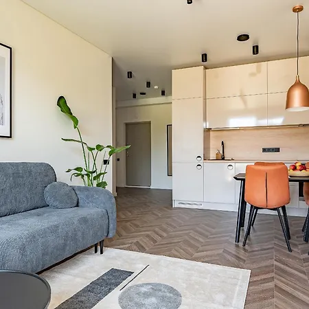 Stylish Living In Heart Of Lithuania Apartment